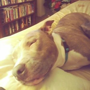 Meet your Posher, Shakauna